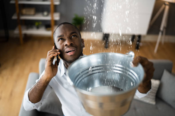 Best Water damage restoration mold remediation  in Walsenburg, CO