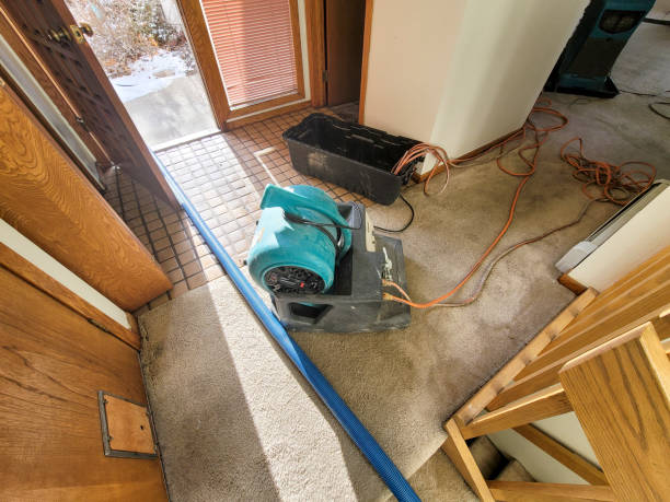  Walsenburg, CO Water damage restoration Pros