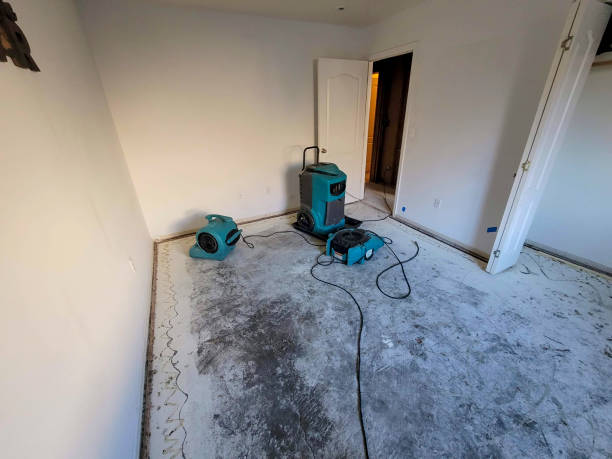 Best Water damage contractors near me  in Walsenburg, CO