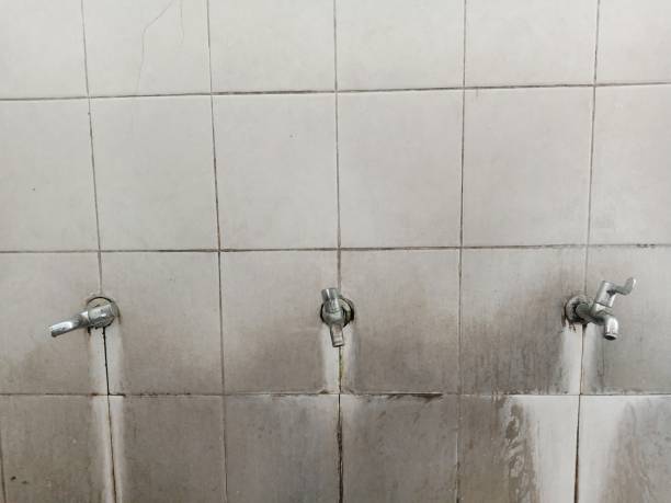 Best Commercial water damage restoration  in Walsenburg, CO
