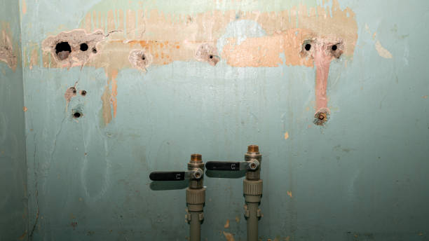 Best Water damage restoration near me  in Walsenburg, CO