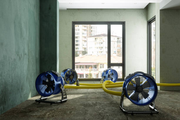 Best Residential water damage restoration  in Walsenburg, CO